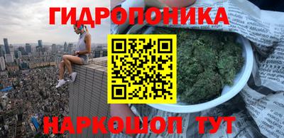 хмурый Дубна