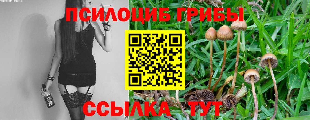 Галлюциногенные грибы Cubensis  Вход с VPN  Псилоцибиновые грибы MAGIC MUSHROOMS  Муравленко 