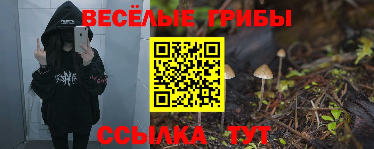 Псилоцибиновые грибы мухоморы Муравленко
